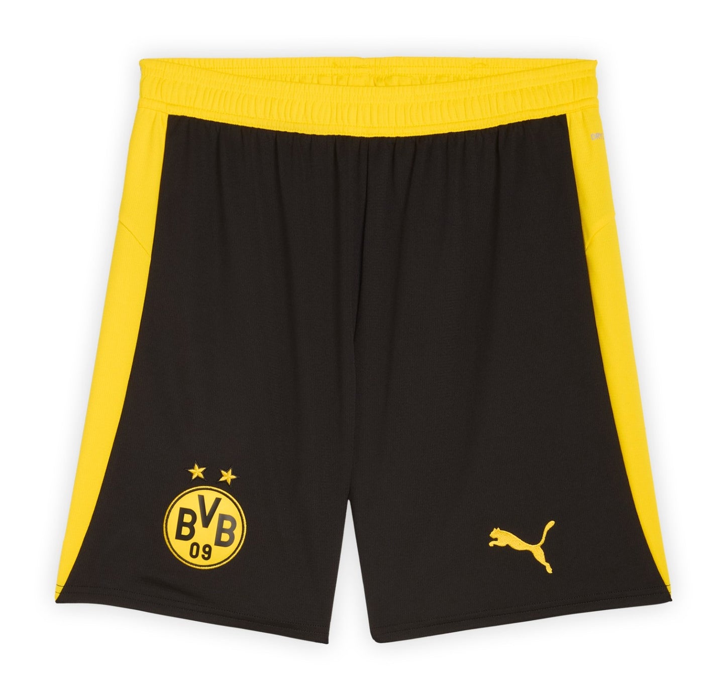 Borussia Dortmund